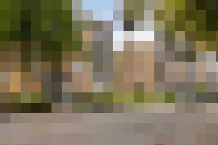 Leliestraat 41 Echt thumbnail 27