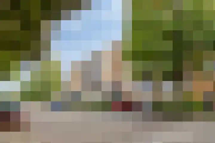 Leliestraat 41 Echt thumbnail 28