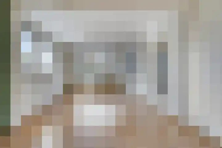 Leliestraat 41 Echt thumbnail 9