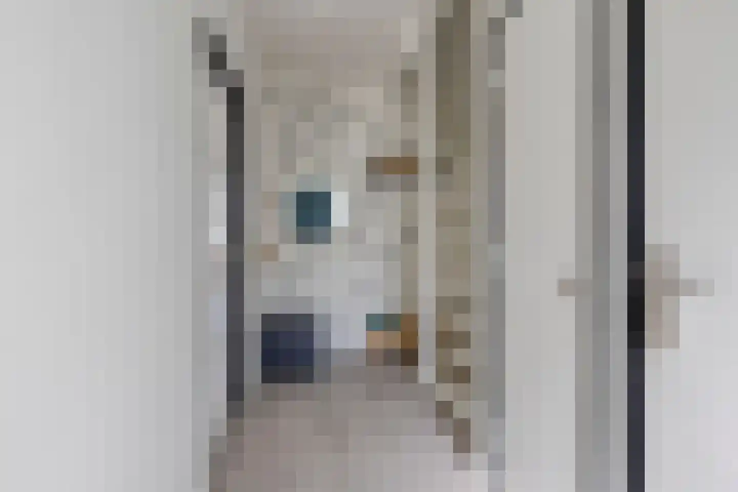 Leliestraat 43 Beek en Donk thumbnail 10