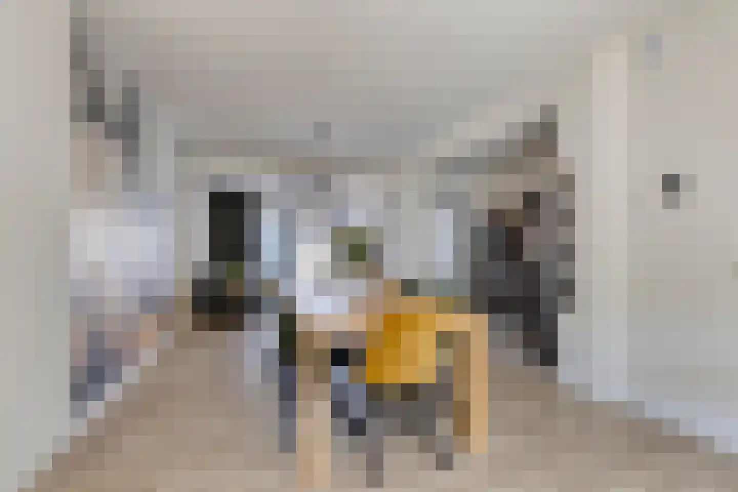 Leliestraat 43 Beek en Donk thumbnail 14