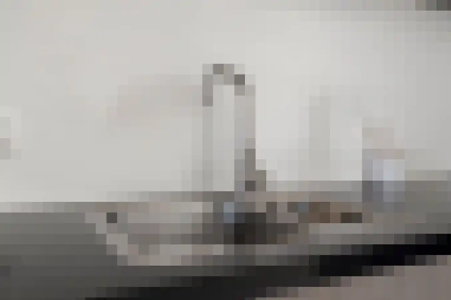 Leliestraat 43 Beek en Donk thumbnail 19