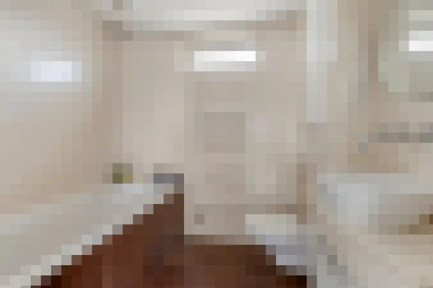 Leliestraat 43 Beek en Donk thumbnail 25