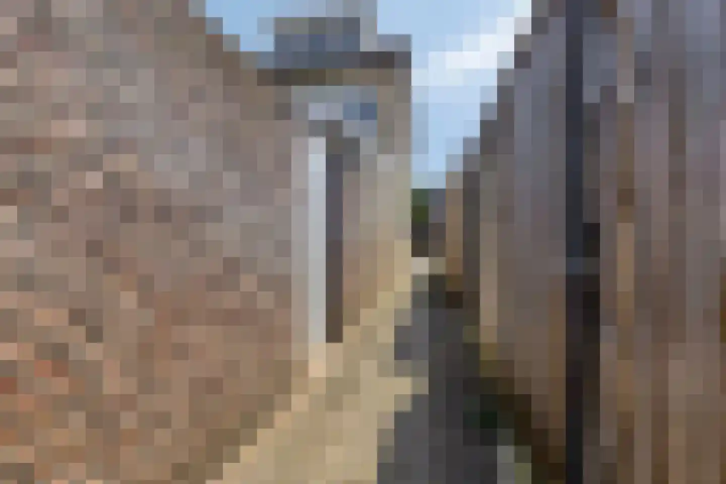 Leliestraat 43 Beek en Donk thumbnail 39