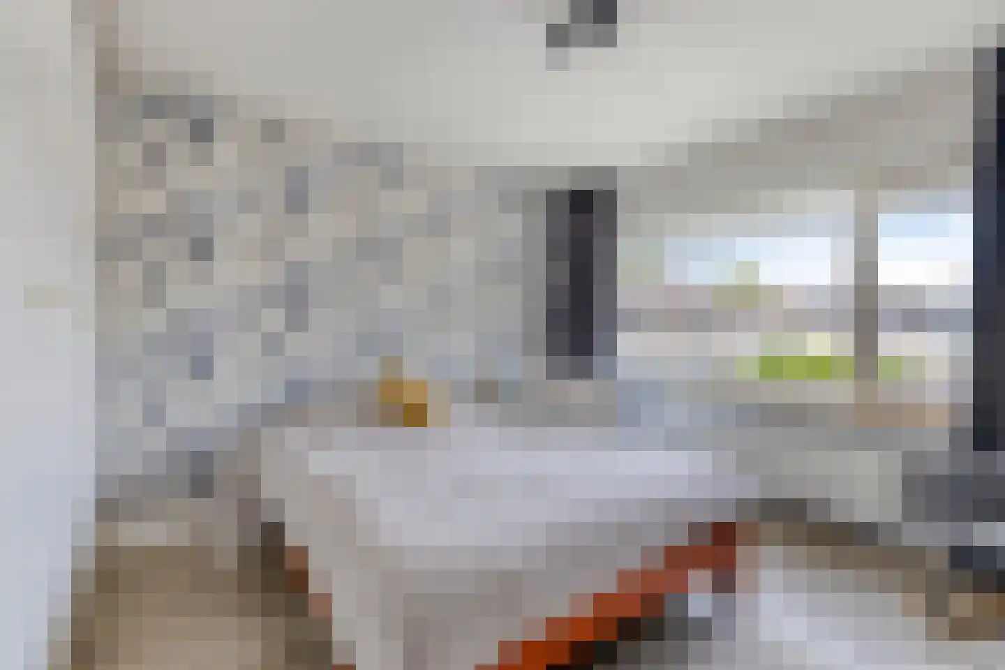 Leliestraat 43 Beek en Donk thumbnail 4