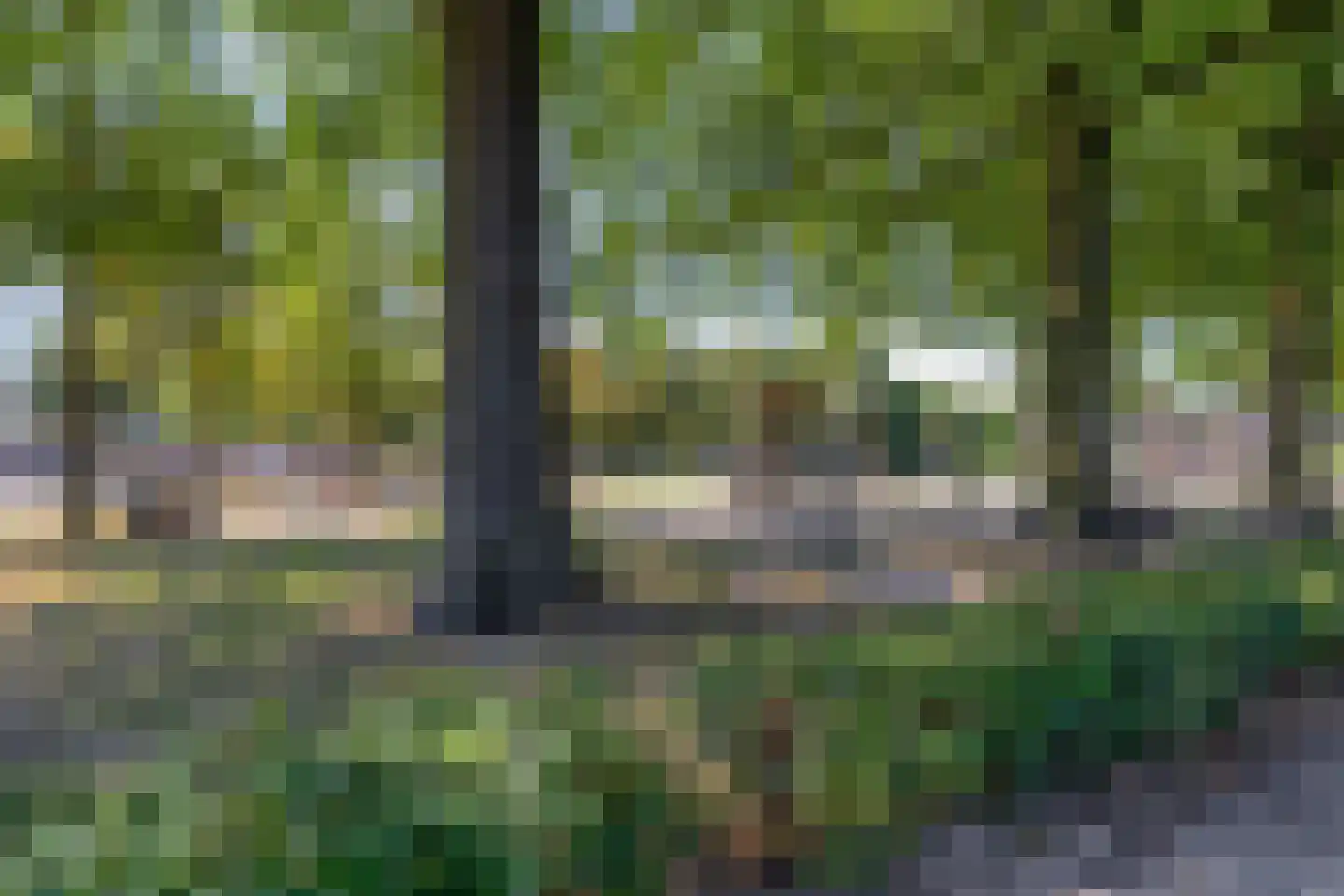 Leliestraat 43 Beek en Donk thumbnail 42