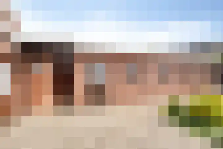 Leliestraat 46 Oldenzaal thumbnail 25