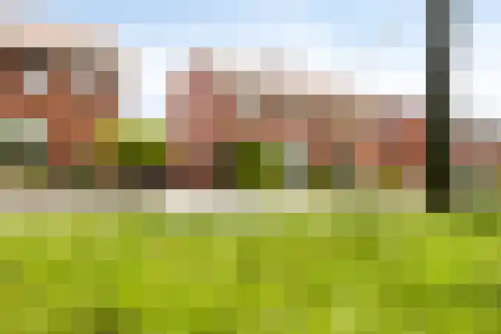 Leliestraat 46 Oldenzaal thumbnail 27