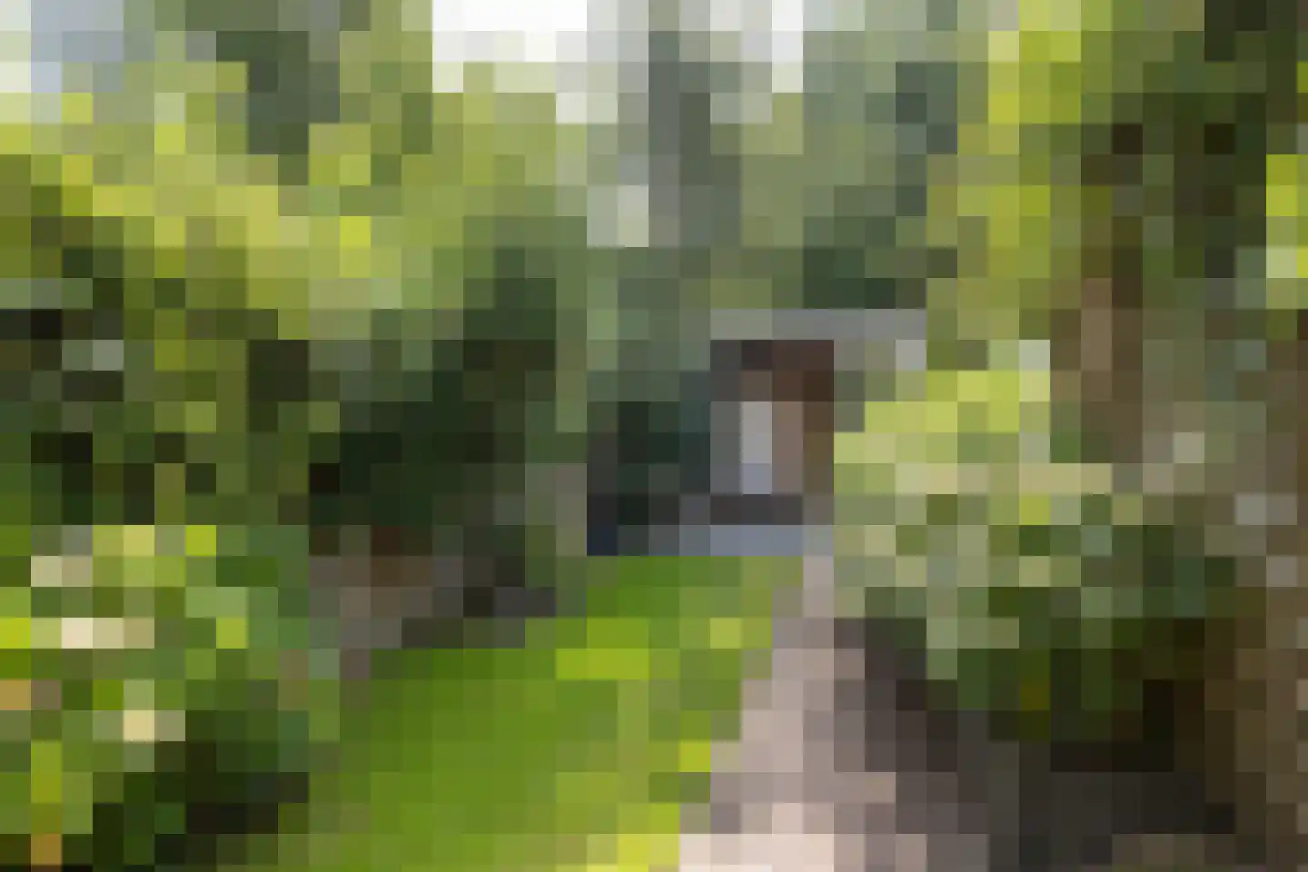 Leliestraat 47 Utrecht thumbnail 29