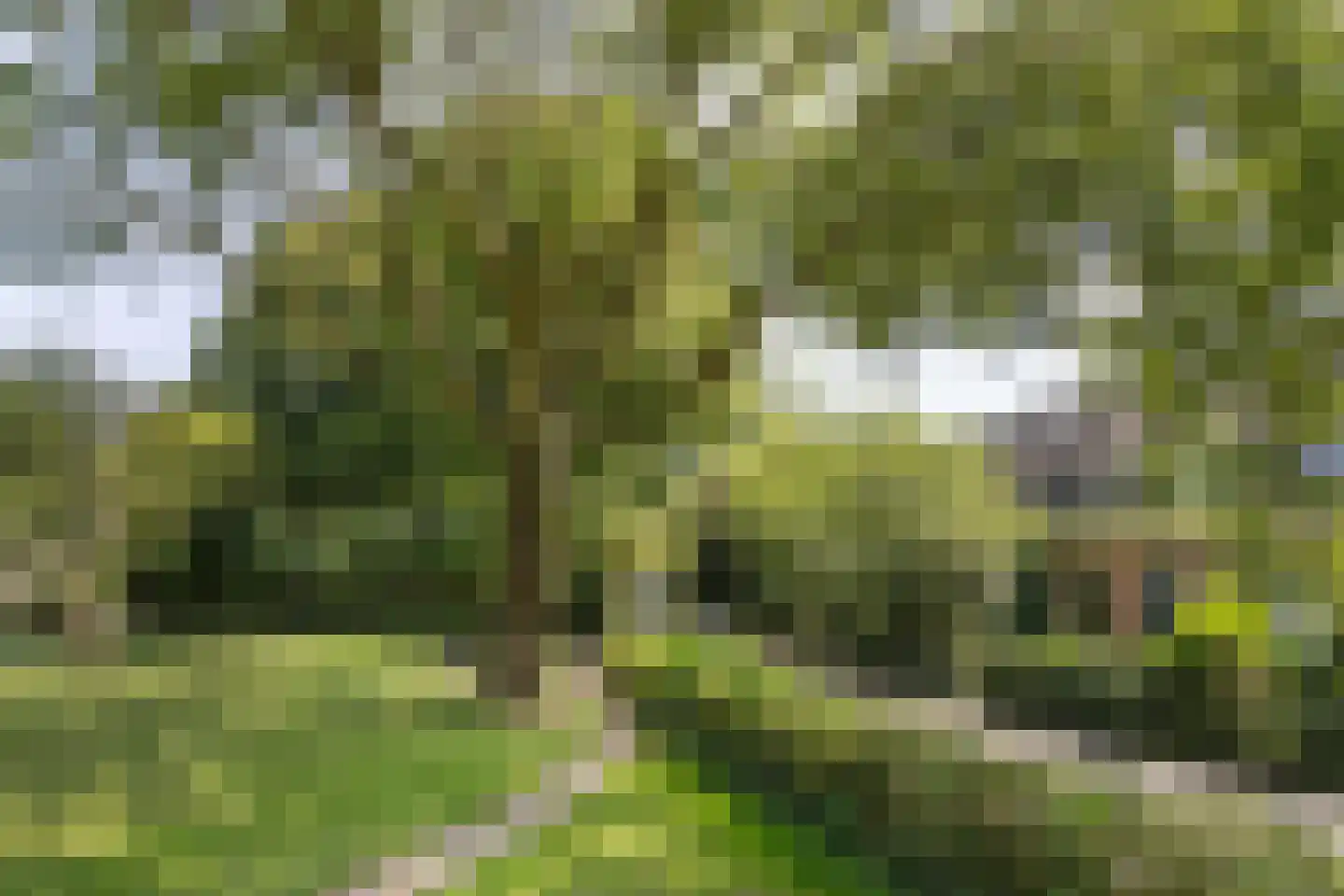 Leliestraat 47 Utrecht thumbnail 38