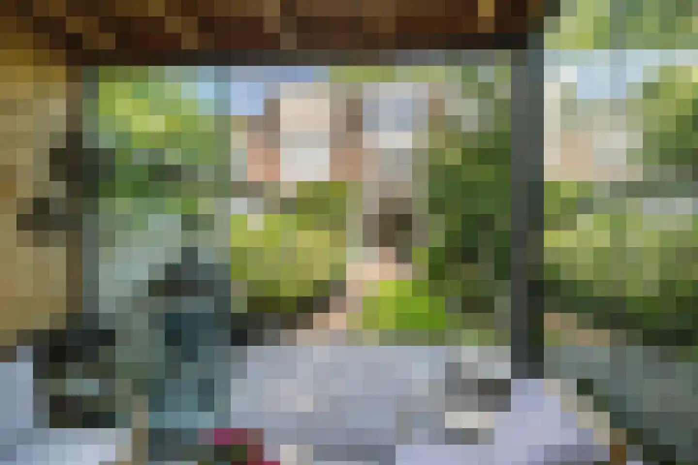 Leliestraat 47 Utrecht thumbnail 4
