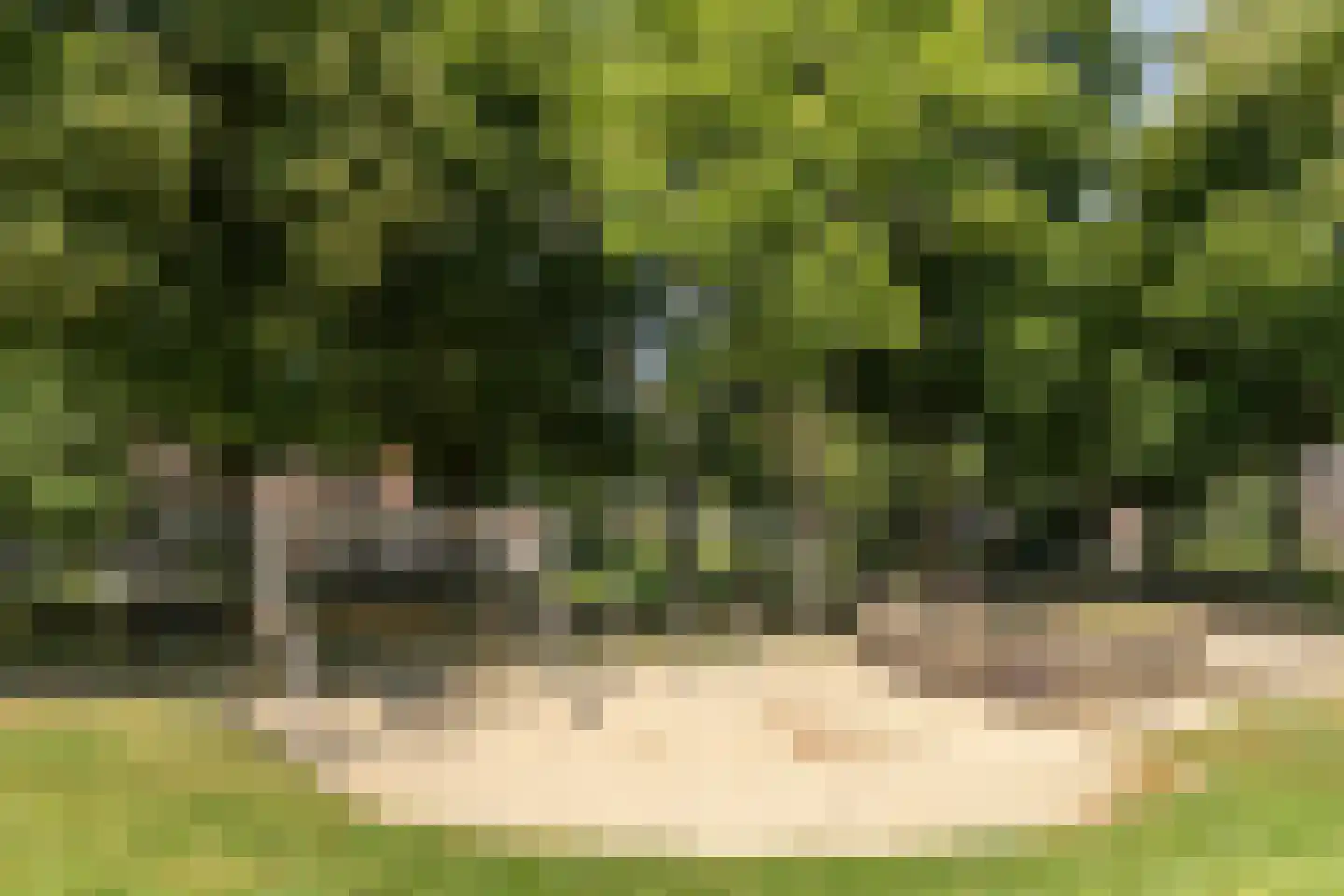Leliestraat 47 Utrecht thumbnail 40