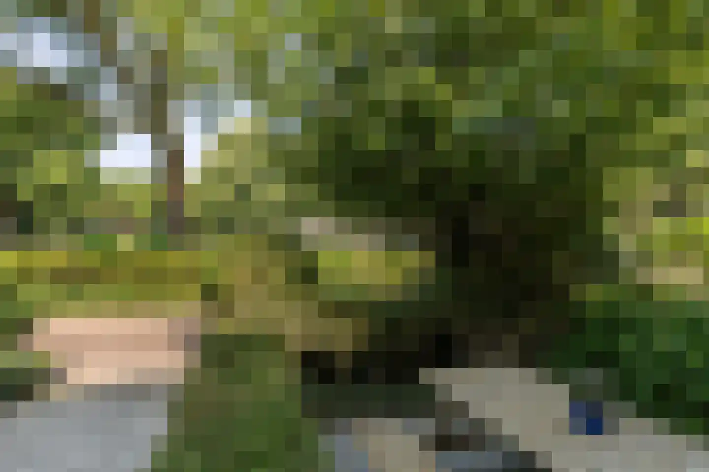Leliestraat 47 Utrecht thumbnail 6