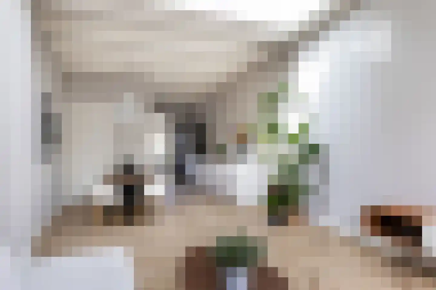 Leliestraat 47 Utrecht thumbnail 9