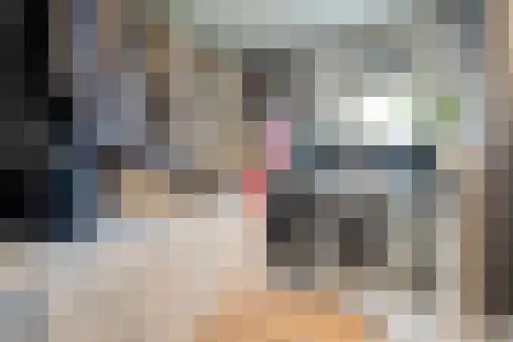 Leliestraat 47 Zwolle thumbnail 21
