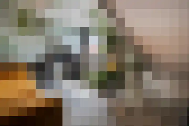 Leliestraat 47 Zwolle thumbnail 27