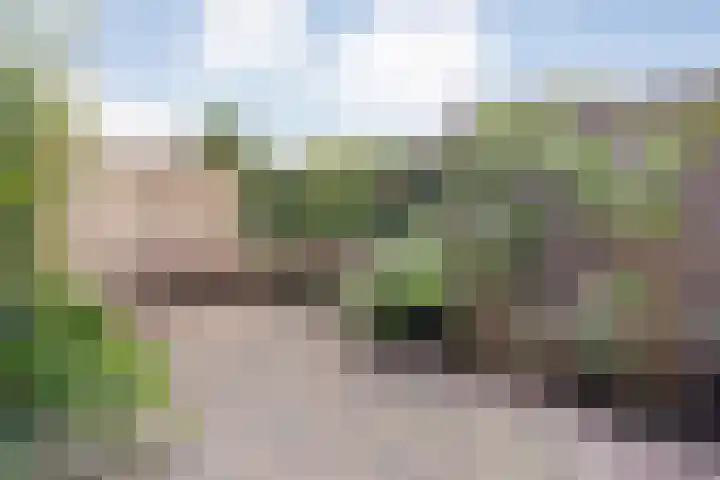Leliestraat 47 Zwolle thumbnail 31