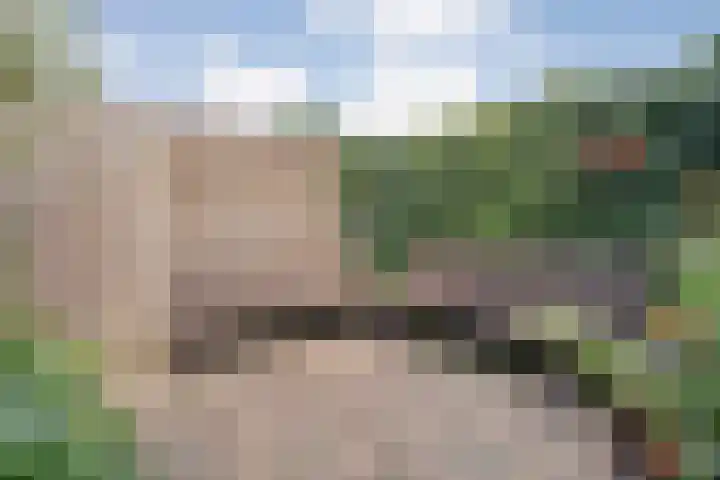 Leliestraat 47 Zwolle thumbnail 33