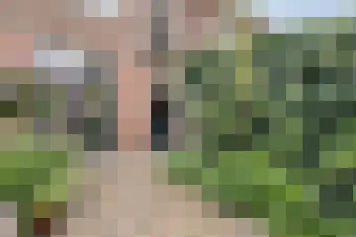 Leliestraat 47 Zwolle thumbnail 34