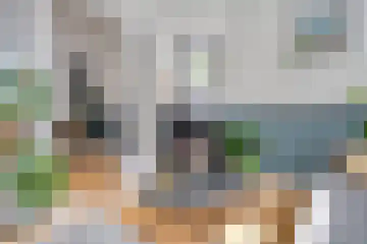 Leliestraat 47 Zwolle thumbnail 8