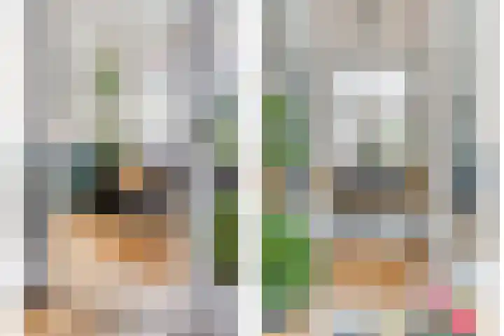 Leliestraat 47 Zwolle thumbnail 9