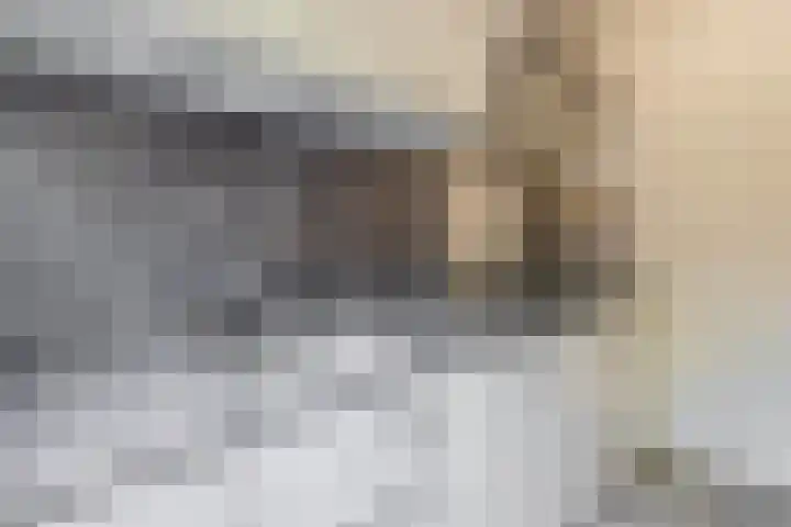 Leliestraat 49 Schijndel thumbnail 8