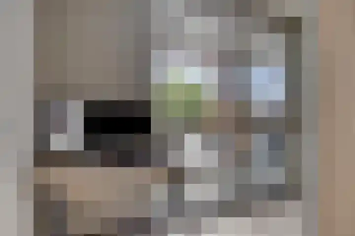 Leliestraat 5 a Roelofarendsveen thumbnail 10