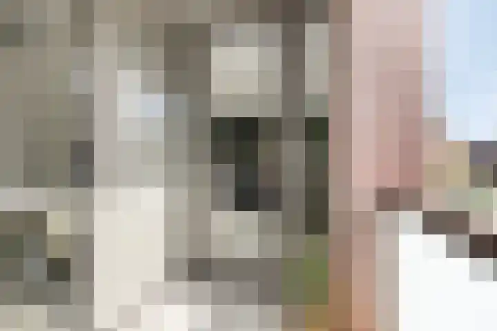 Leliestraat 5 a Roelofarendsveen thumbnail 13