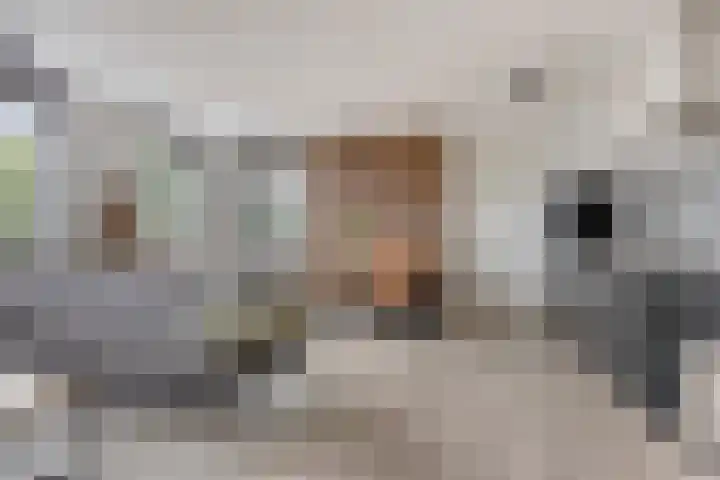 Leliestraat 5 a Roelofarendsveen thumbnail 6