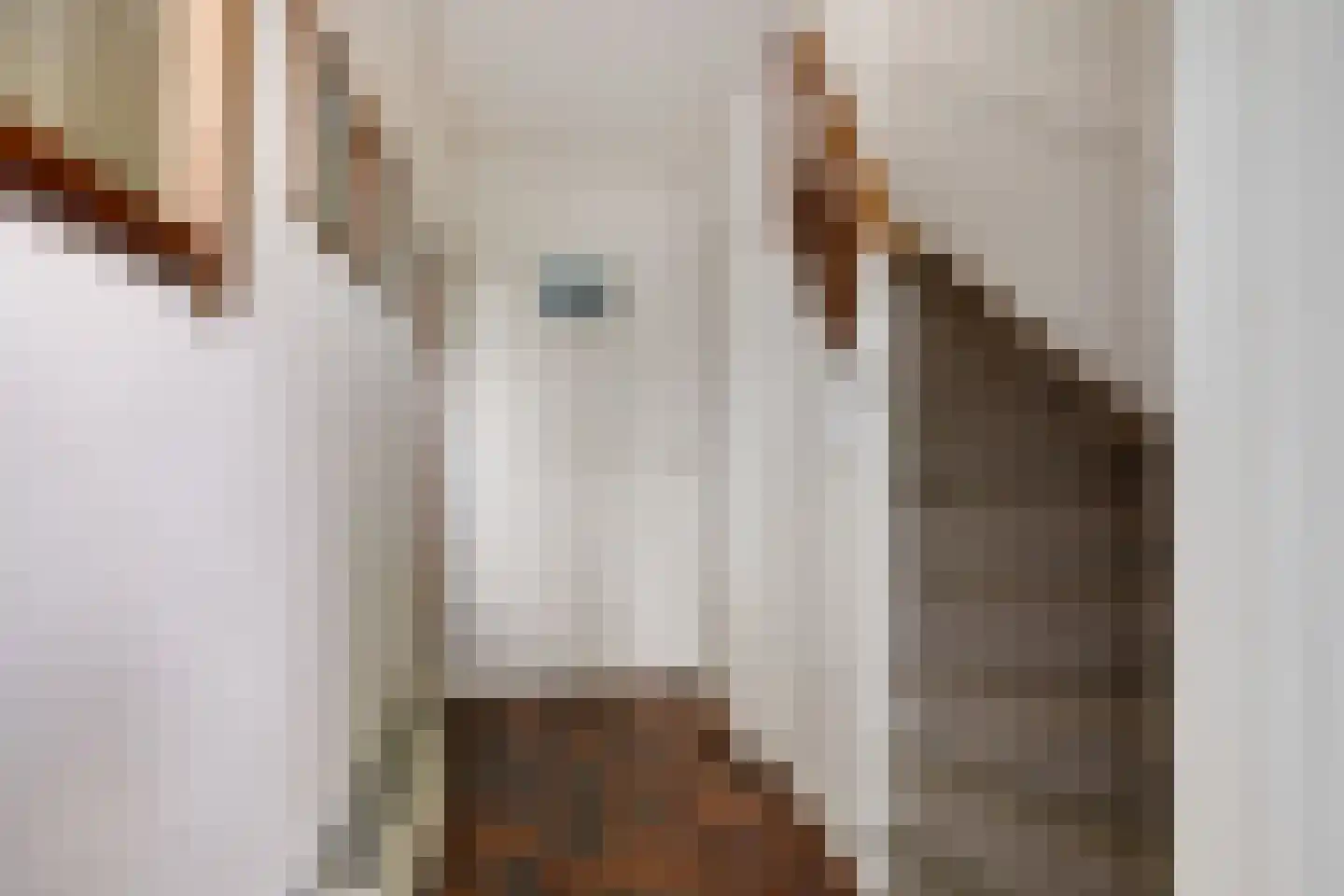 Leliestraat 5 Didam thumbnail 13