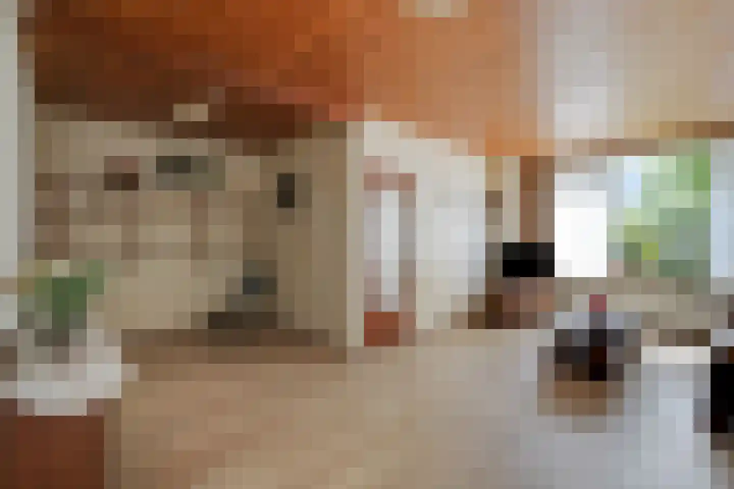 Leliestraat 5 Didam thumbnail 15