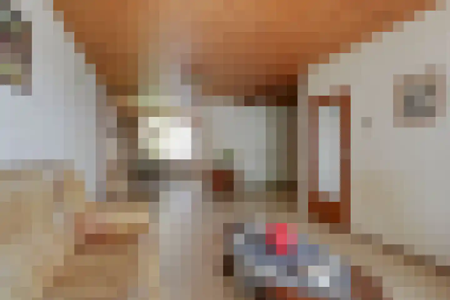 Leliestraat 5 Didam thumbnail 17