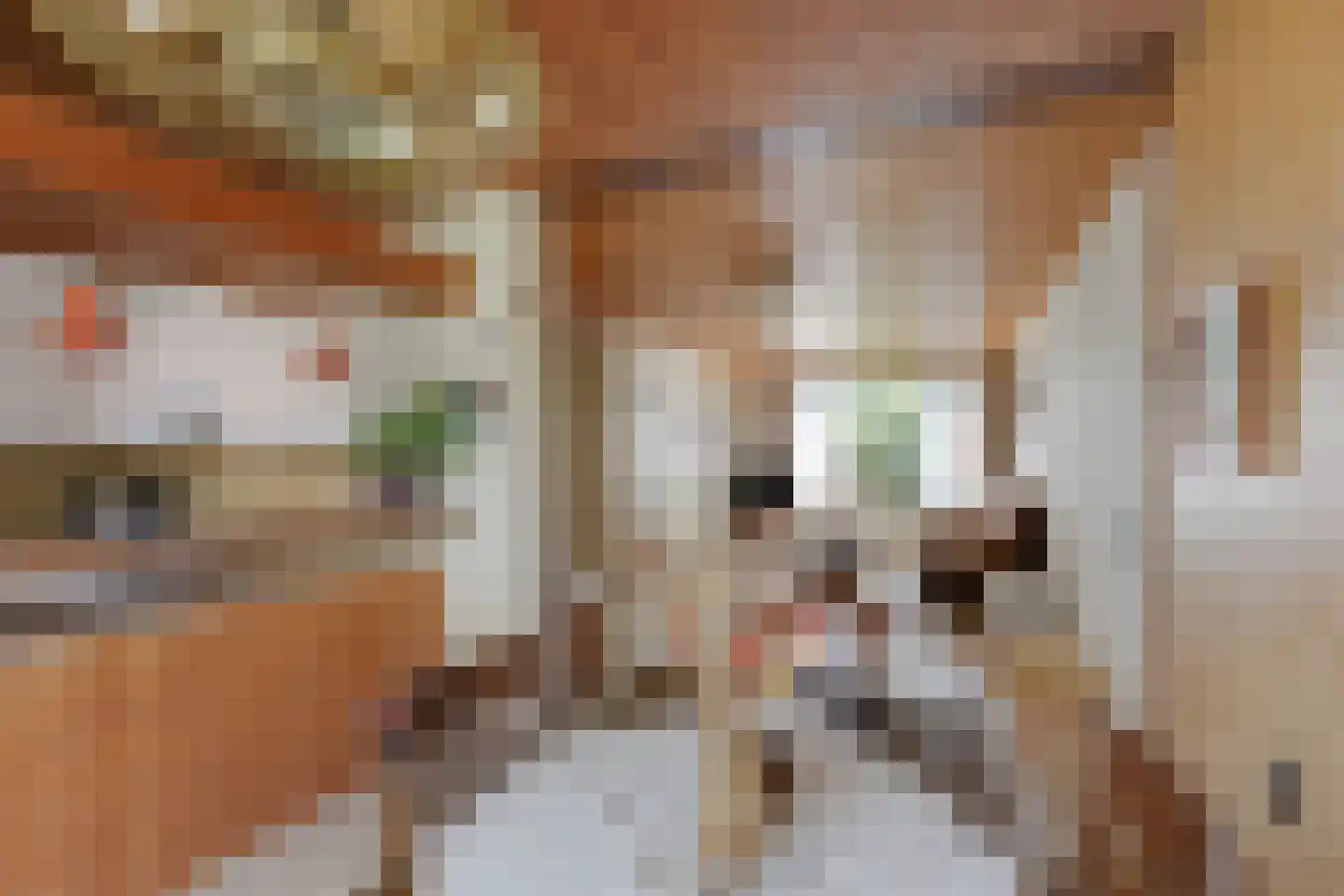 Leliestraat 5 Didam thumbnail 23
