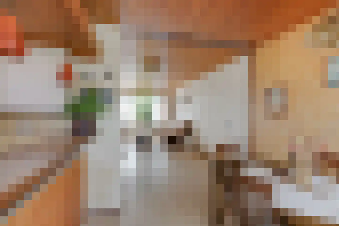 Leliestraat 5 Didam thumbnail 25
