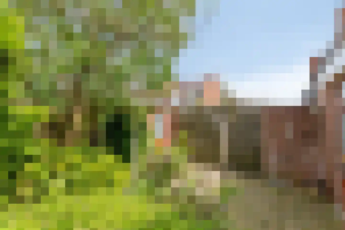 Leliestraat 5 Didam thumbnail 30