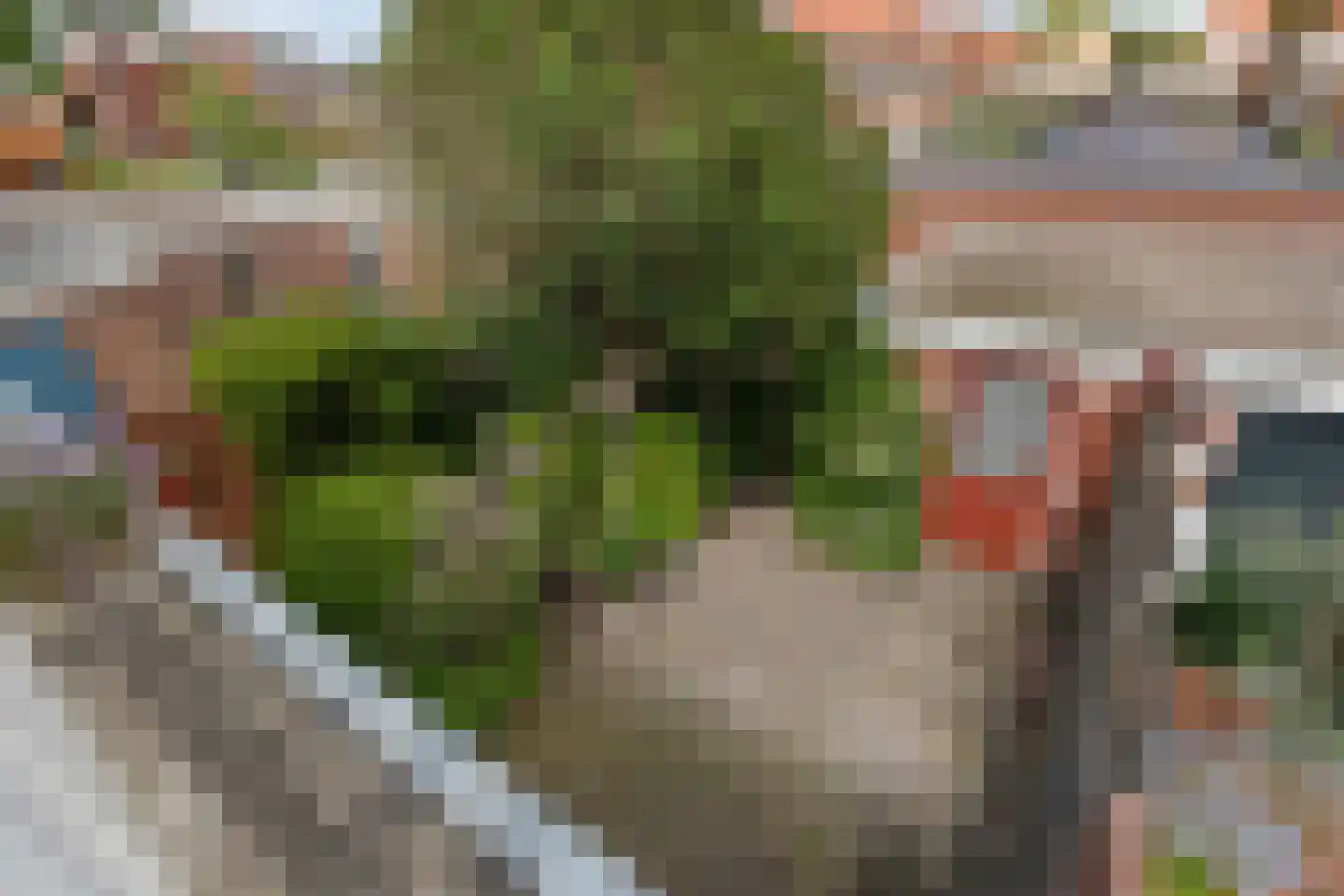 Leliestraat 5 Didam thumbnail 39
