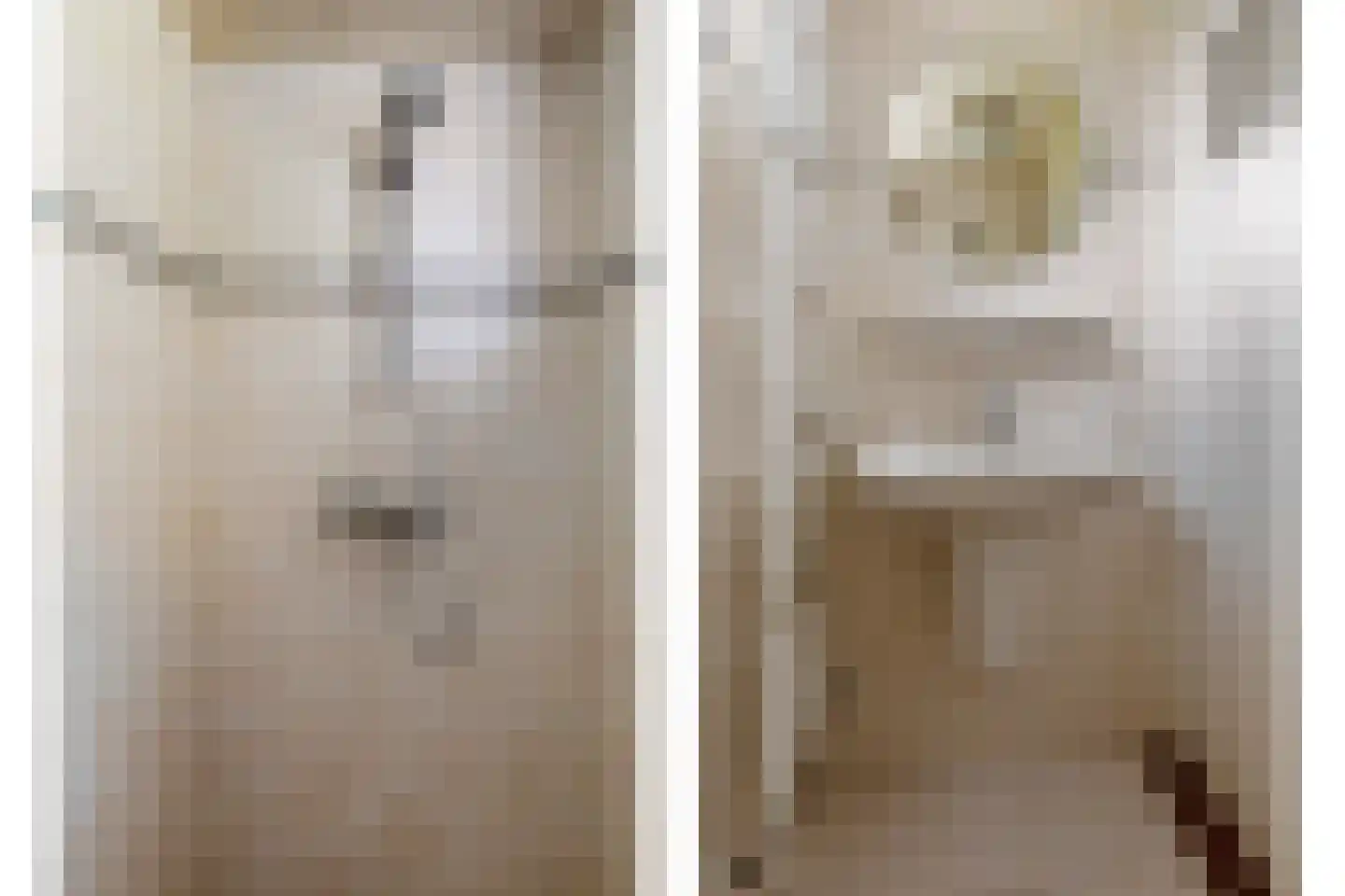 Leliestraat 5 Didam thumbnail 43