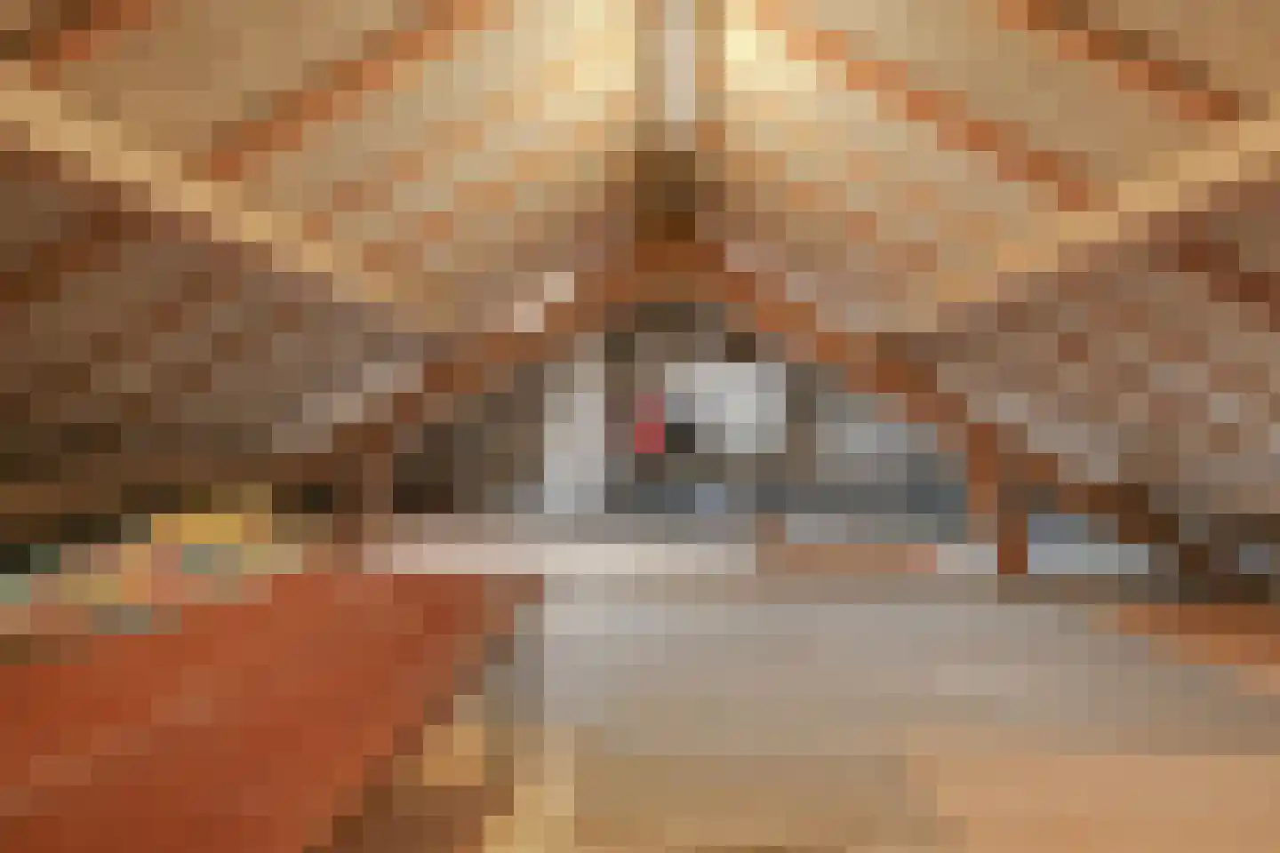 Leliestraat 5 Didam thumbnail 45