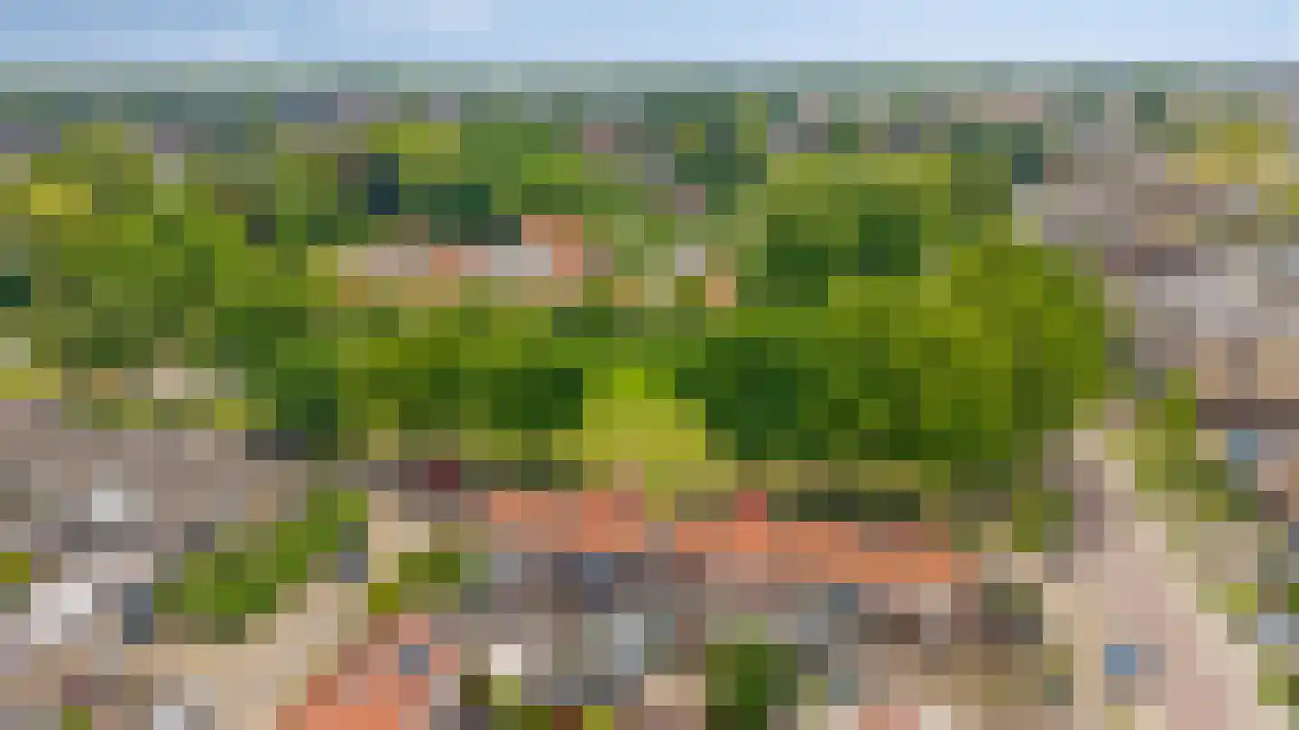 Leliestraat 5 Didam thumbnail 5