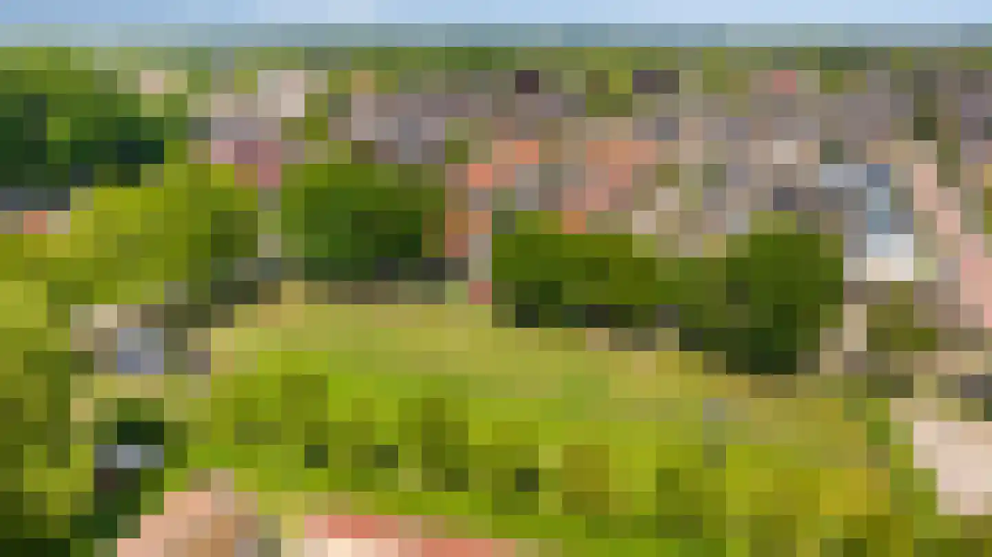 Leliestraat 5 Didam thumbnail 6