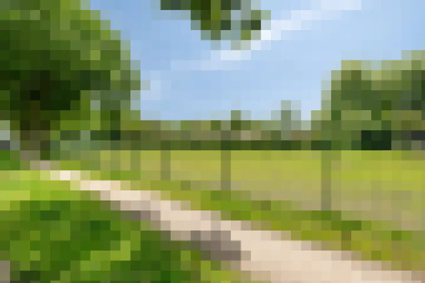 Leliestraat 5 Didam thumbnail 8