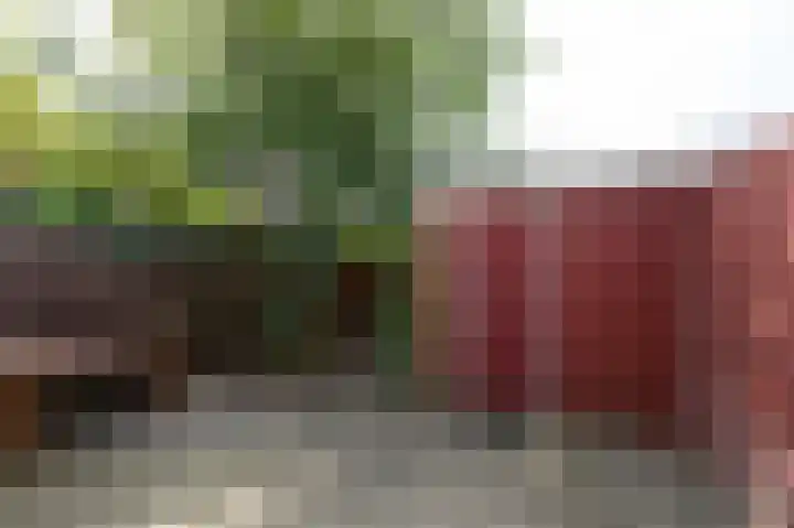 Leliestraat 5 Doetinchem thumbnail 15