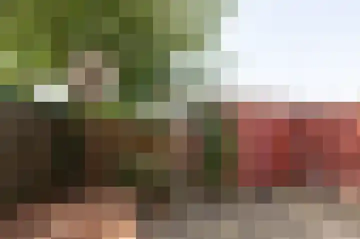 Leliestraat 5 Doetinchem thumbnail 17