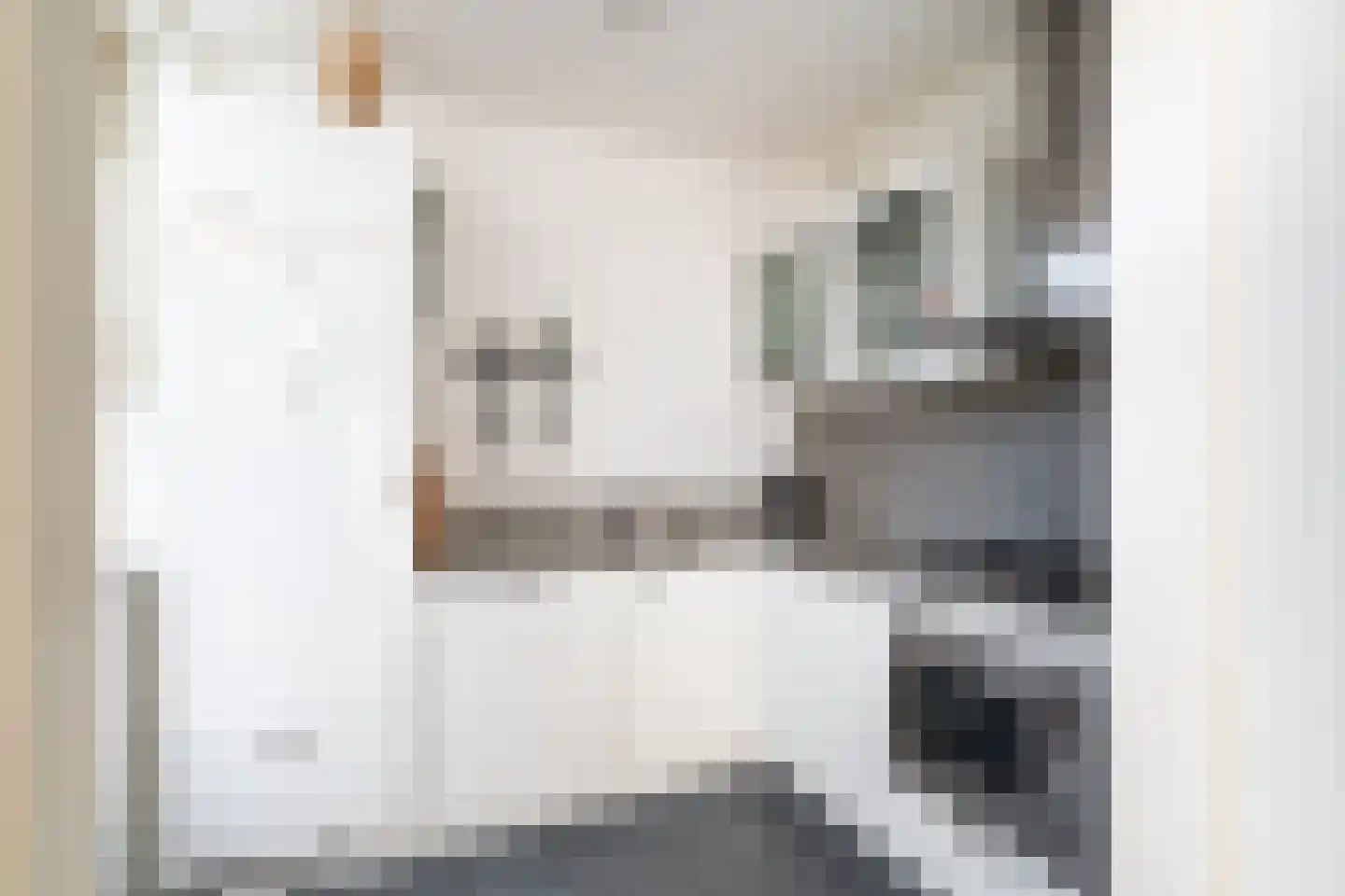 Leliestraat 5 Naaldwijk thumbnail 13