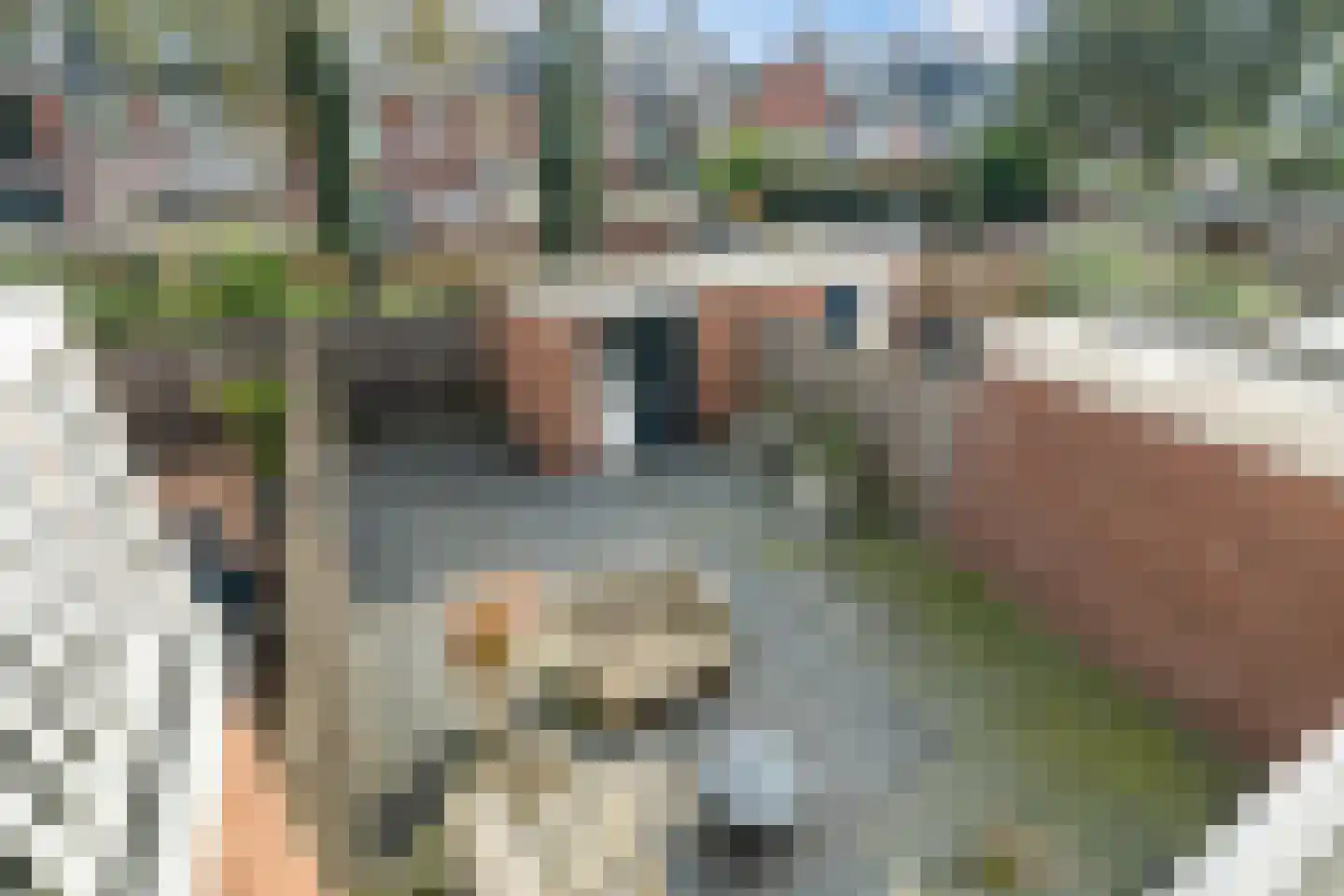 Leliestraat 5 Naaldwijk thumbnail 20