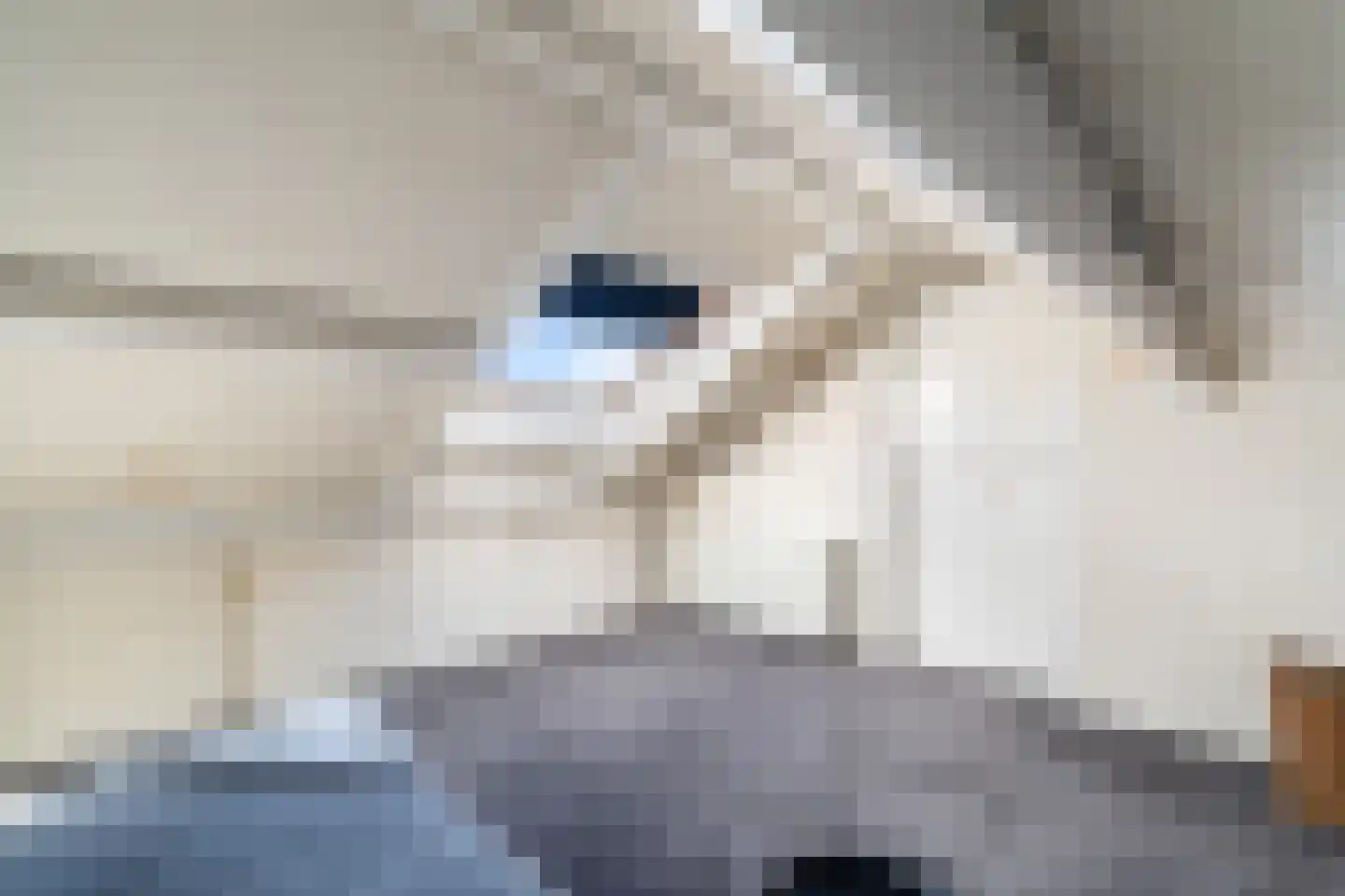 Leliestraat 5 Naaldwijk thumbnail 34
