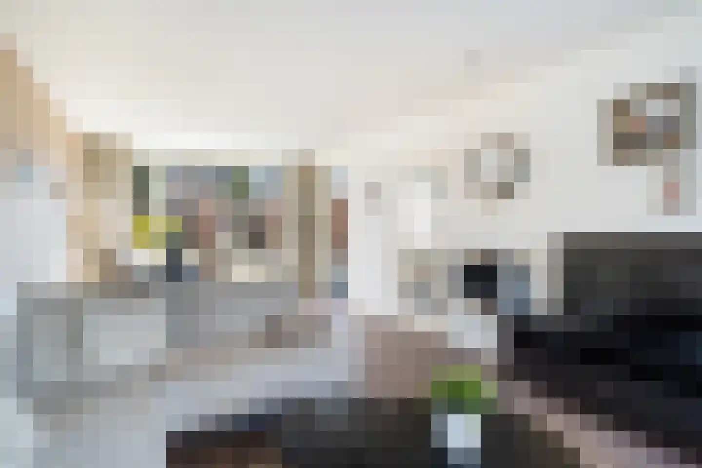 Leliestraat 5 Naaldwijk thumbnail 9
