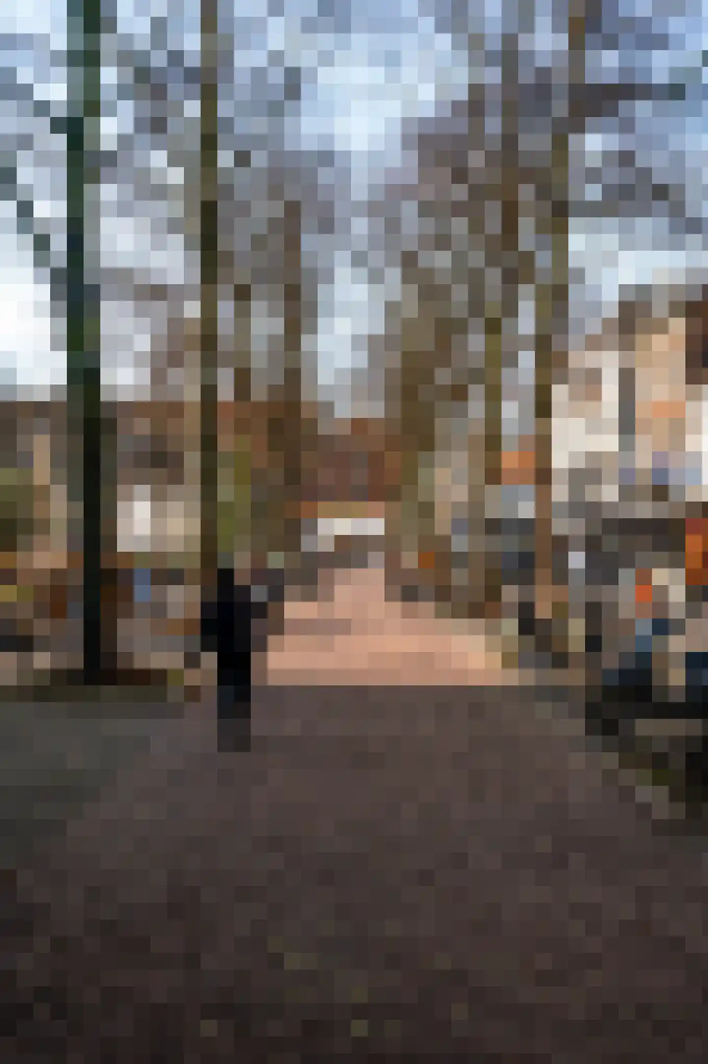 Leliestraat 5 Roermond thumbnail 33