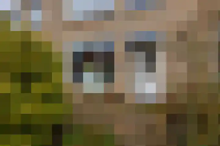 Leliestraat 51 Moordrecht thumbnail 7
