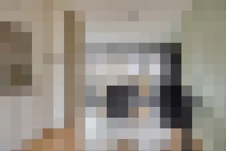 Leliestraat 52 Beek en Donk thumbnail 14
